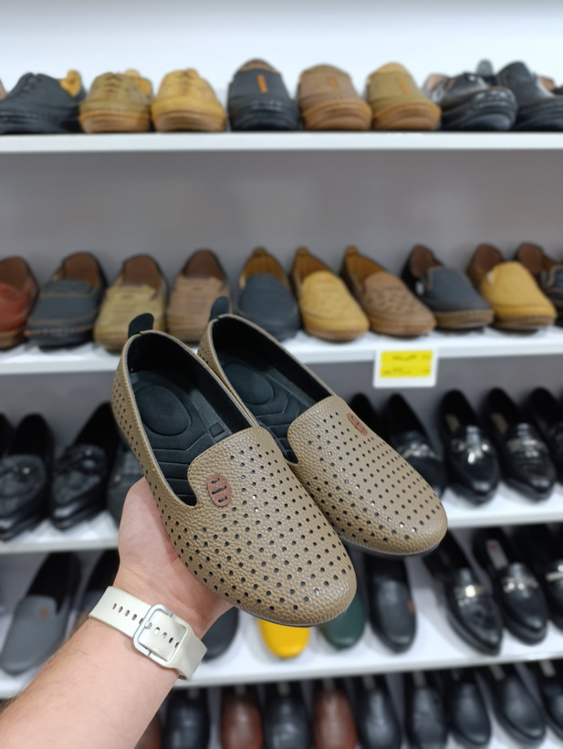 انواع کالج مجلسی